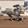 Cat Daddys Lil Girl Returns in $100,000 Lou Wooten/Sydney Valentini Stakes