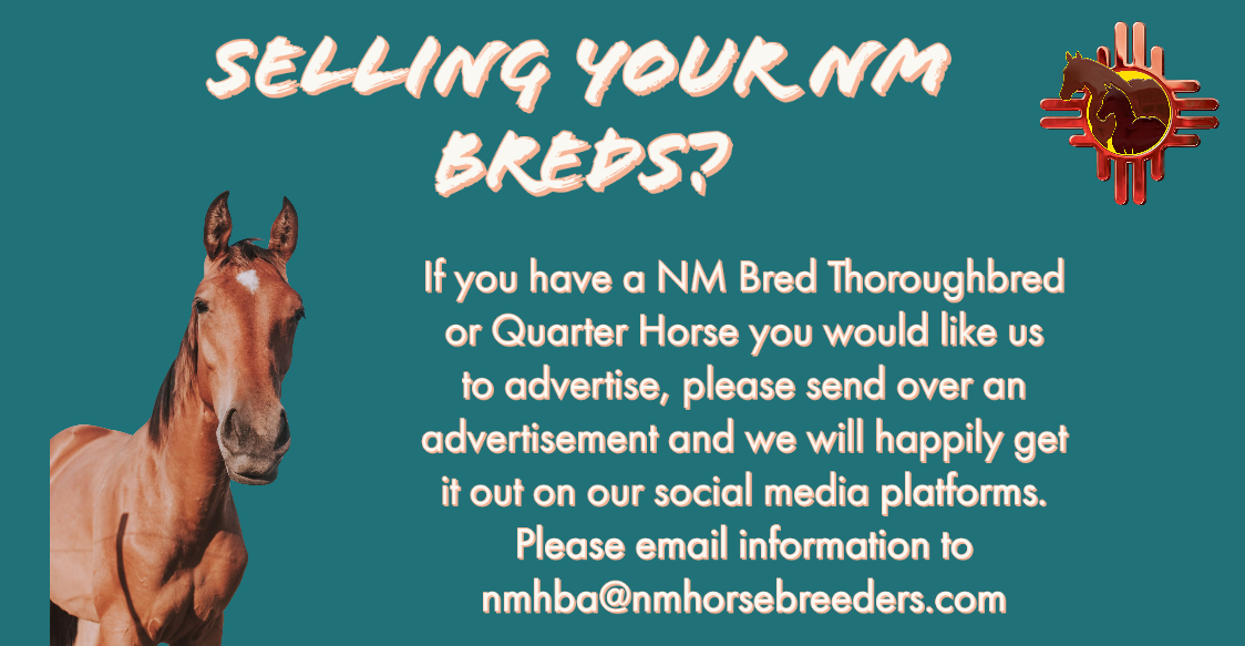 Selling your NM Breds? New Mexico Horse Breeders Association