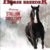 New Mexico Horse Breeders Stallion Issue is out!