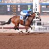 Rich Sunland Park Derby Program Features Three New Mexico-Bred Stakes