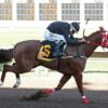 Bigg Dee, HS Golden Eagle Return in $100,000 Jimmy Drake Stakes