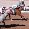Three Sunland Park Stakes Winners Headline Sunday’s $100,000 New Mexico Breeders’ Stakes