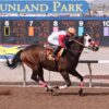 Freedom Flash, Hollywood Henry Square Off in Starr Western Wear Stakes