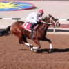 Graded Stakes Winner Jesses Wish Returns in Saturday’s New Mexico Cup Futurity Trials