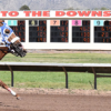 Moonlight Warrior Draws Rail Post for Saturday’s $100,000 Petticoat Stakes