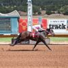 Field is Set for the June 26, $150,000 Mountain Top Thoroughbred Futurity