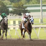 NM-Bred Wascallywittlewabbit is Voted Top Distance Horse of Remington Park Meet