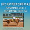 2022 New Mexico Bred Yearling Sale