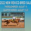2022 NM Bred Yearling Sale Results