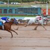 Inaugural Champagne Lane Stakes Set for Saturday at Albuquerque Downs