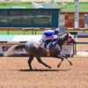 River Flash Tops the Qualifiers to the August 6, $173,593 Zia Derby at Ruidoso Downs