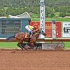 Better Believe, Doer Not A Faker Top the Qualifiers to the August 14, $128,760 Rio Grande Senorita Futurity