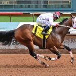 Bigg Dee is Early Favorite for Sunday’s $75,000 First Moonflash Maturity
