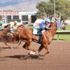 Mr Tres Effort is the Fastest Qualifier to the New Mexico Cup Futurity