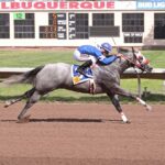 Fastest Qualifier River Flash Shines in New Mexico State Fair Quarter Horse Derby Trials