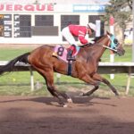 Storm Leader, Better Believe Top the Qualifiers to the September 25 New Mexico State Fair Thoroughbred Futurity