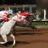 Mi Moonflash is Morning-Line Choice for Lou Wooten/Sydney Valentini Stakes