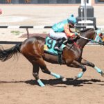Mountain Top Futurity Trials Set for Friday