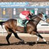 Freedom Flash to Make Season Debut in $100,000 Starr Western Wear Stakes