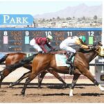 Eight New Mexico-Bred 3-Year-Old Thoroughbreds Entered in Dine Stakes