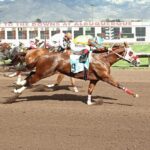 Fine Am Eye is the Fastest Qualifier to the October 15, $250,000-Added New Mexico State Fair QH Derby