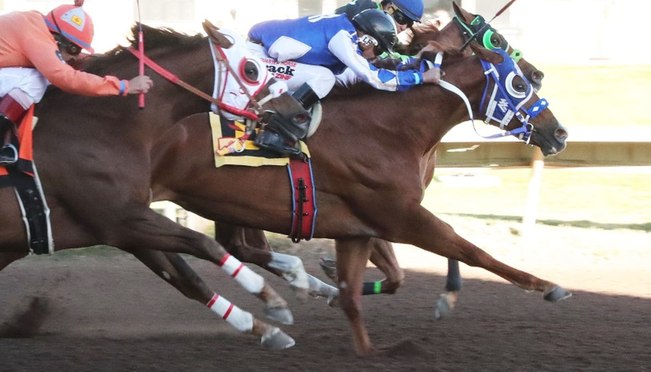 VINTAGE BOURDEAUX – New Mexico State Fair Quarter Horse Derby (RG-3) – 10-15-23 – R08 – The Downs at Albuquerqu[24985]