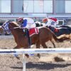 Fastest Qualifier Call Me Jessiecartel Draws Rail Post for Sunday’s Shue Fly Stakes