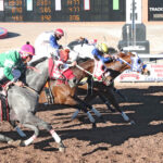 Over Da Edge Headlines Saturday’s $100,000 New Mexico Horse Breeders’ Assn. Stakes