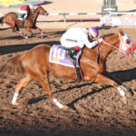 Pepsi Cola Stakes Set for Saturday at Sunland Park