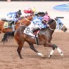 Field is Set for the April 6, $353,981 New Mexican Spring Futurity at Sunland Park
