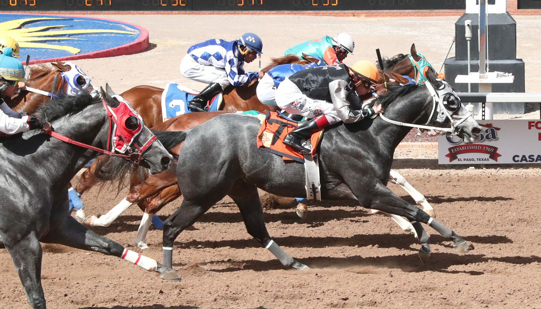 BIG POSIES CARTEL – The 31st Running of NMHBA Quarter Horse Stakes – 04-06-24 – R07 – Sunland Park – Finish
