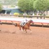 Fastest Qualifier Copy Of Jess Draws Rail Post for $175,258 Mountain Top QH Derby