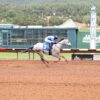 Field Set for June 23, $107,361 Mountain Top Thoroughbred Futurity