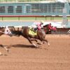 Miss Hi Tide is Early Favorite for Sunday’s New Mexico State Fair QH Derby