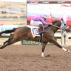 Graded Stakes Winner Pavel Headlines Saturday’s New Mexico Classics Futurity Trials