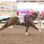 Pavel wins the New Mexico Breeders’ Futurity RG3