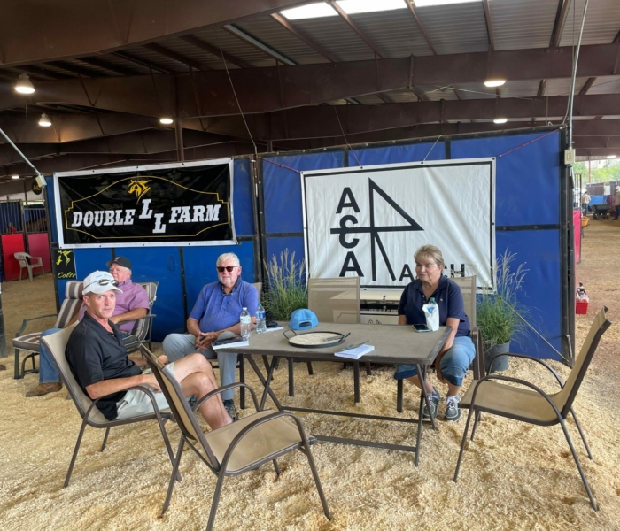 A and A Ranch barn