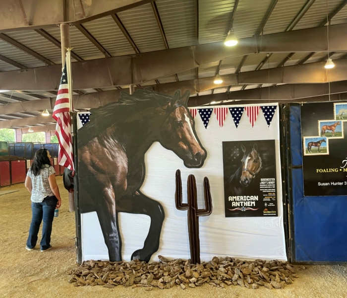 American Anthem – Sierra Blanca Equine barn