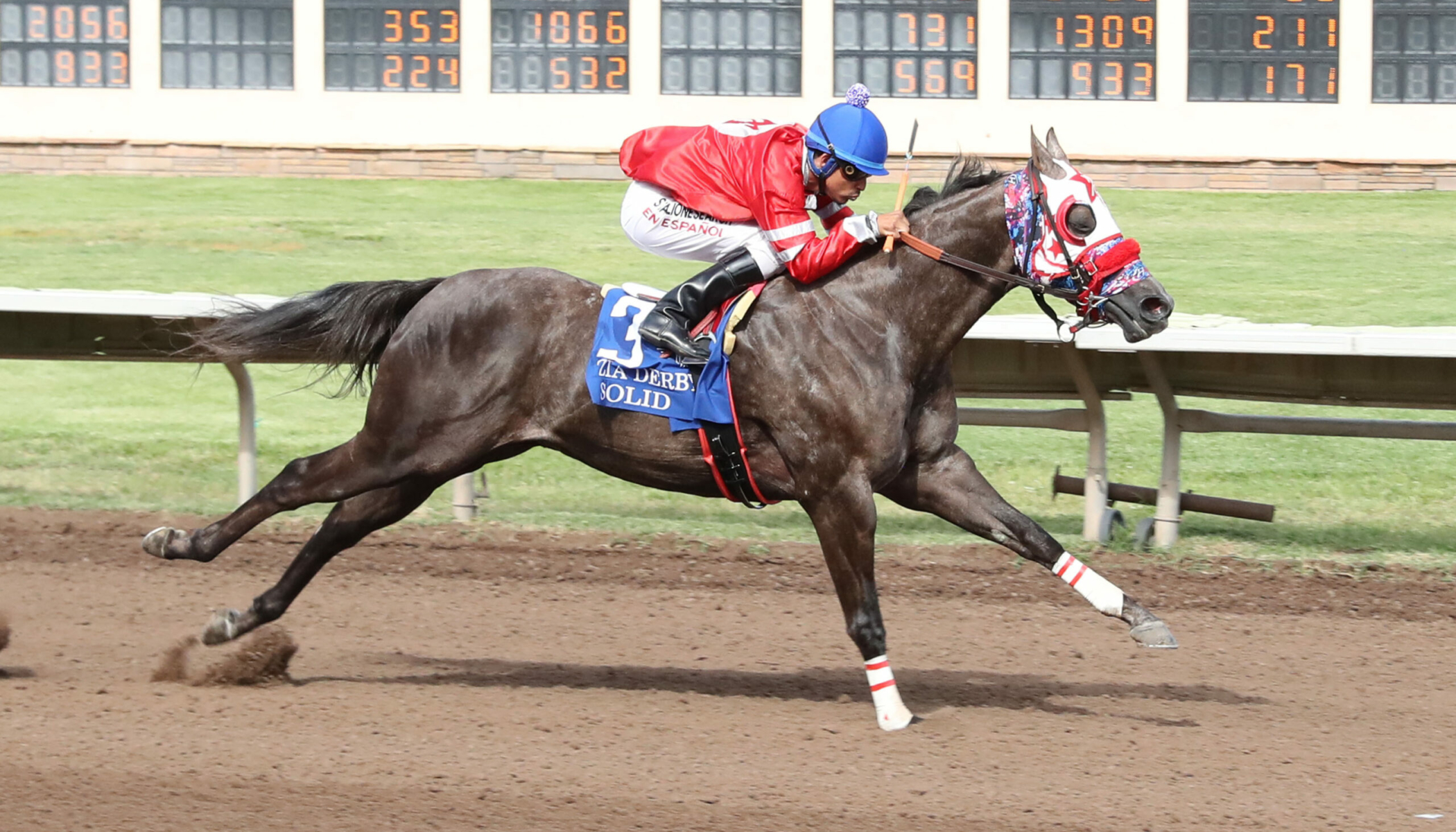 SOLID – Zia Quarter Horse Derby G2 – 07-27-24 – R10 – The Downs at Albuquerque – Finish