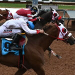 Solid is the Fastest Qualifier to the July 20, $167,171 Zia Derby at Ruidoso Downs.