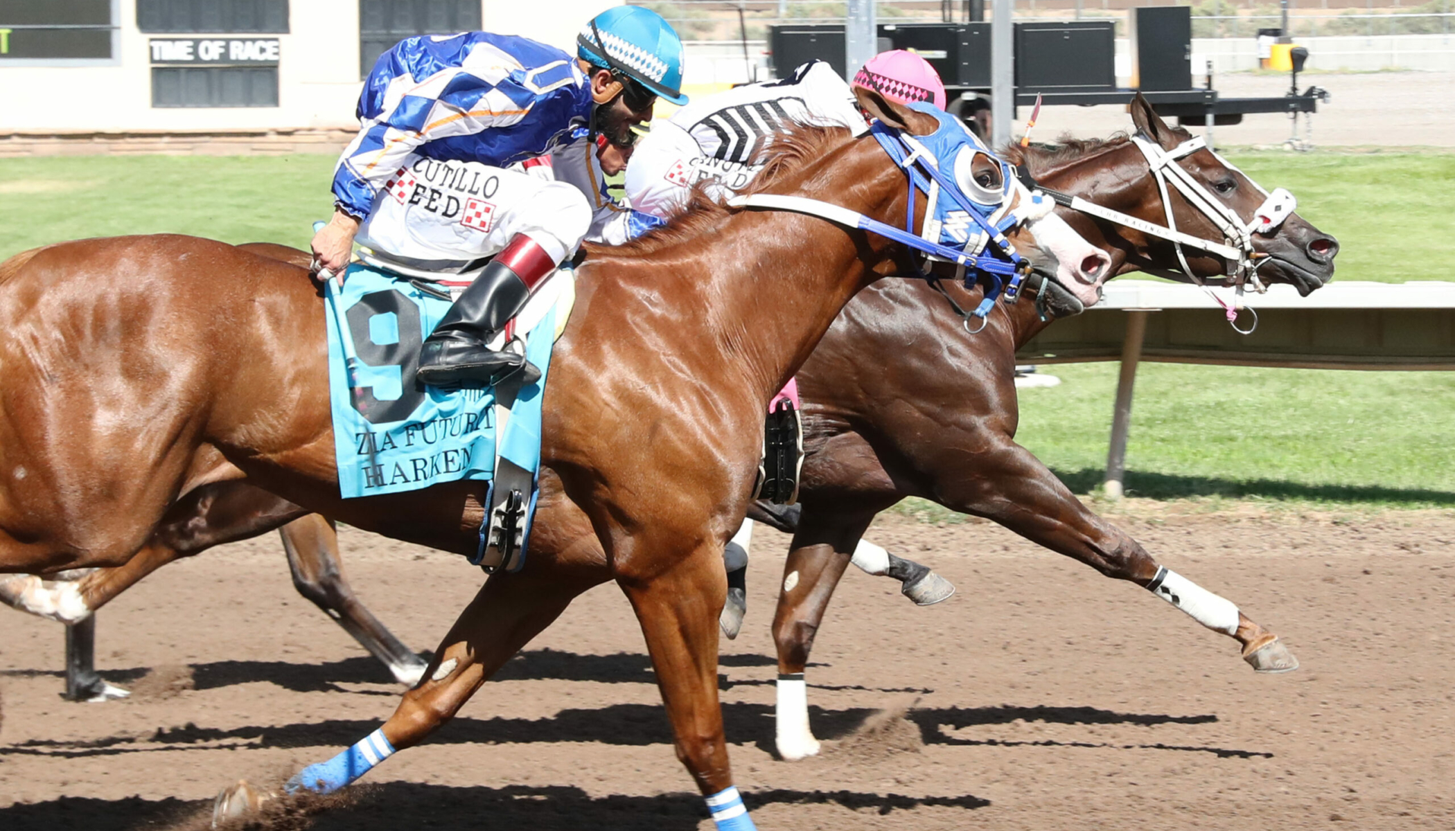 WOODY ROCKS – Zia Quarter Horse Futurity G1 – 07-28-24 – R09 – The Downs at Albuquerque – Finish