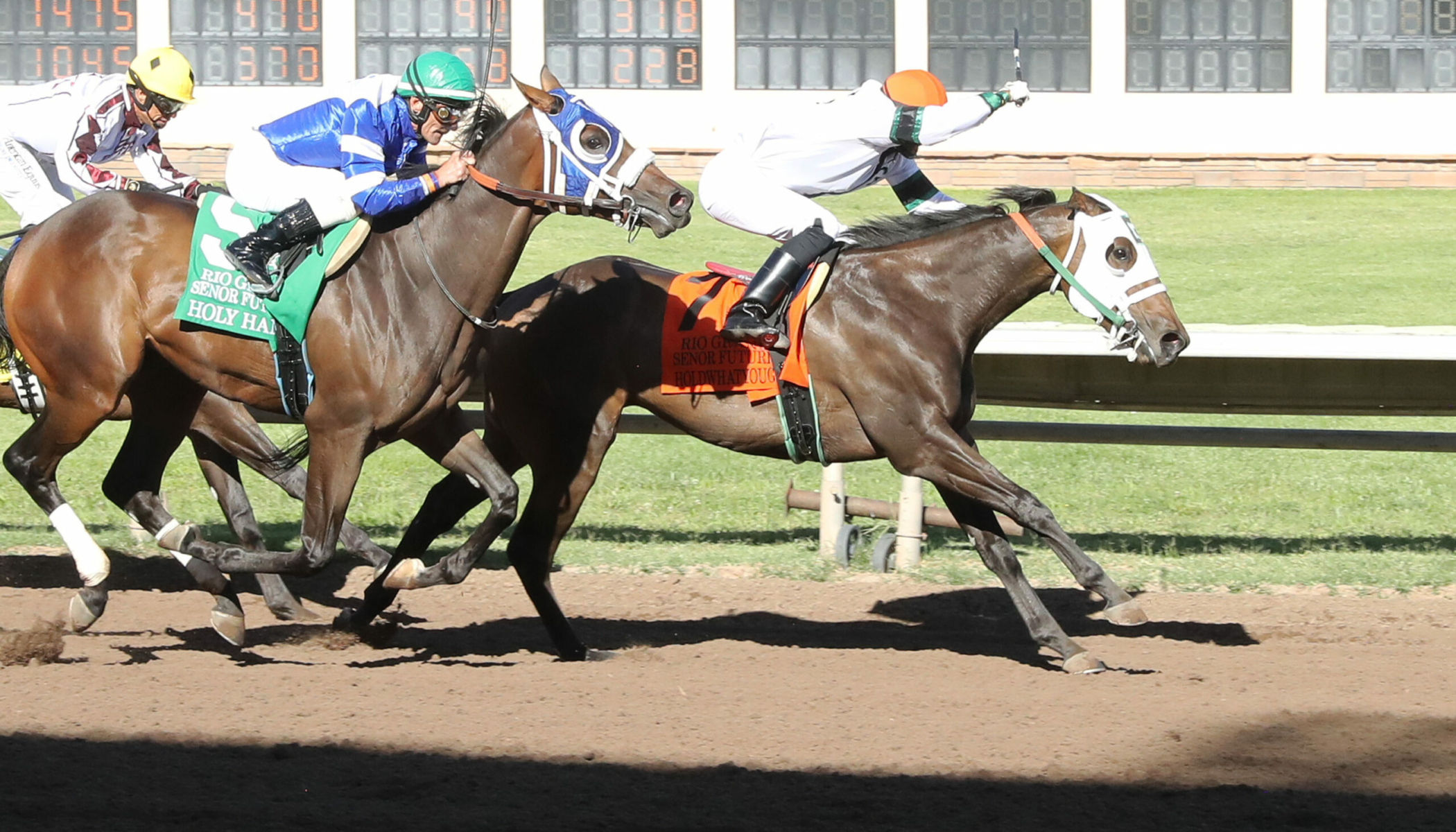 HOLDWHATYOUGOT – Rio Grande Senor Thoroughbred Futurity – 08-18-24 – R11 – The Downs at Albuquerque – Finish 2