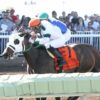 Stakes Winner Holdwhatyougot Headlines Sunday’s New Mexico State Fair Thoroughbred Futurity Trials