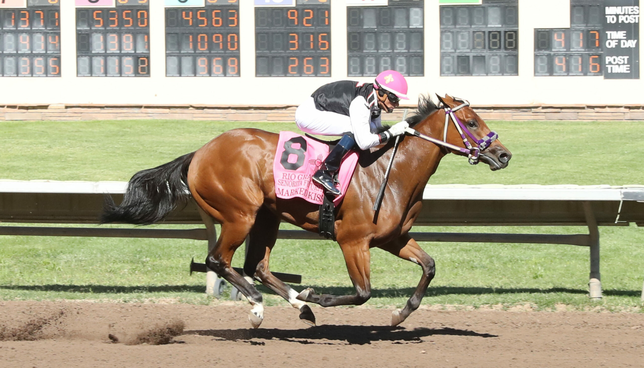 MARKED KISS – Rio Grande Senorita Thoroughbred Futurity – 08-18-24 – R09 – The Downs at Albuquerque – Finish