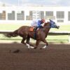 Harken, KJ Bad Moon Rising Headline Sunday’s Rich New Mexico State Fair QH Futurity