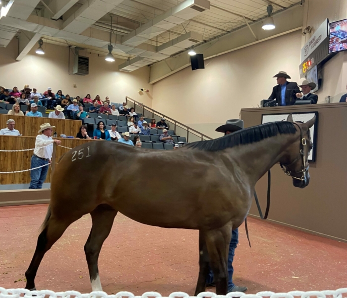 Hip#251 THREE FINGER JACK $150,000