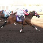 Morning-Line Choice KJ Bad Moon Rising Draws Rail Post for NMHBA Stakes