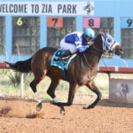Holy Hank is Morning-Line Favorite for Sunday’s Red Hedeman Mile