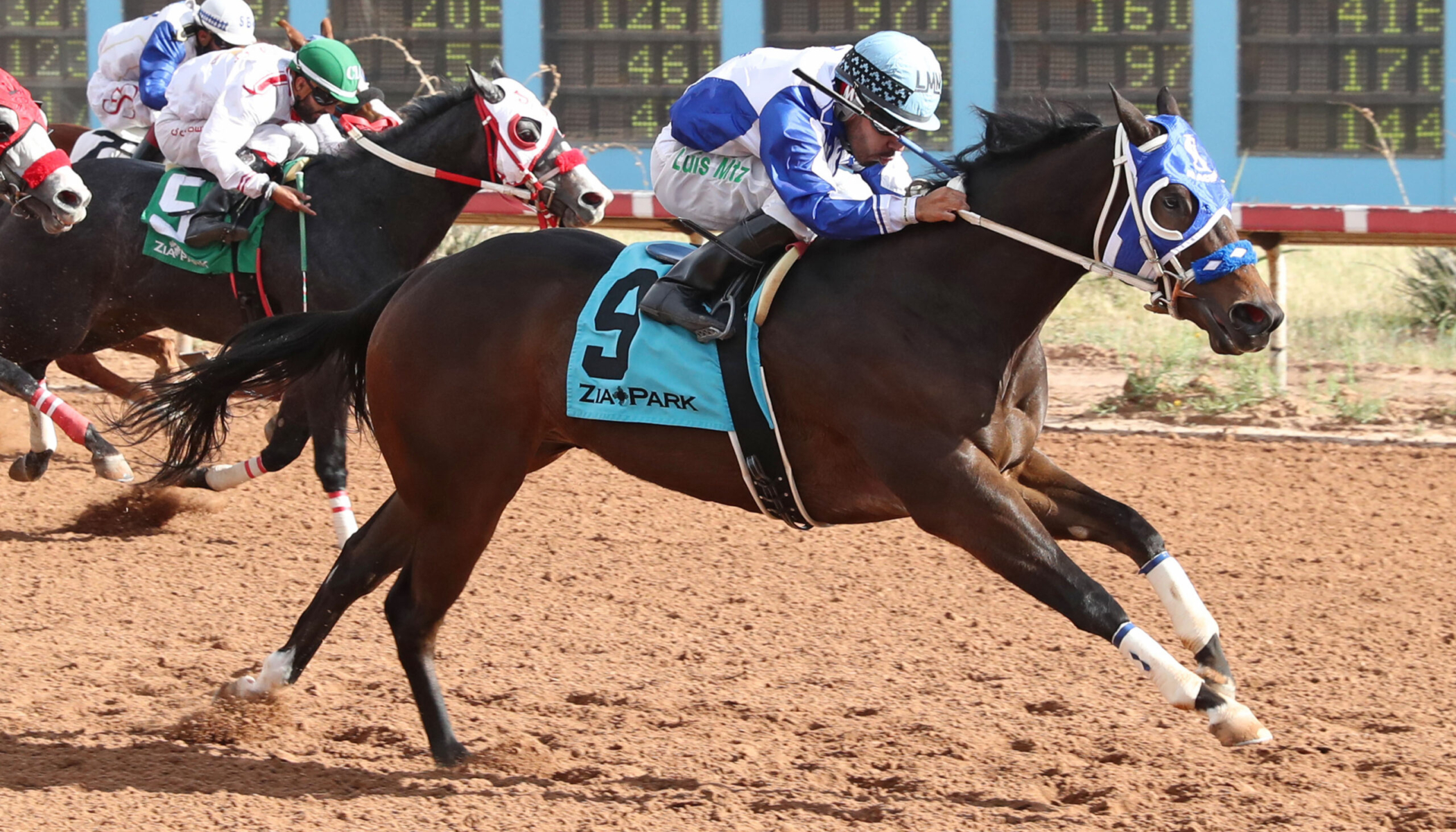 PAVEL – New Mexico Classic Quarter Horse Juvenile Stakes – 11-24-24 – R04 – Zia Park – Finish