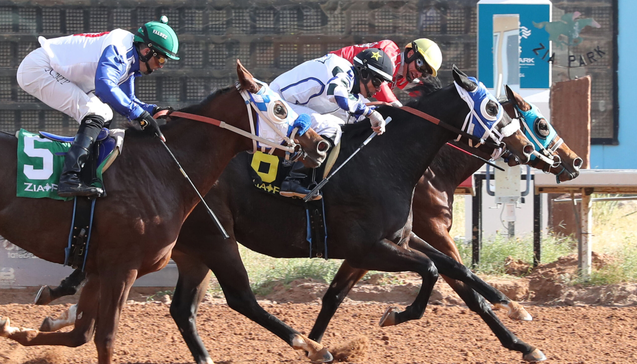 TAP ROCK – New Mexico Classic Derby – 11-25-24 – R05 – Zia Park – Finish